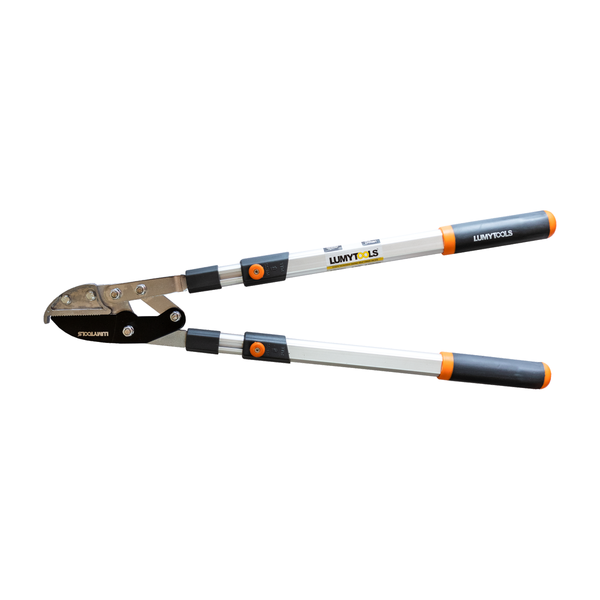Cleste Telescopic - Taiat Crengi Uscate, Manere Al