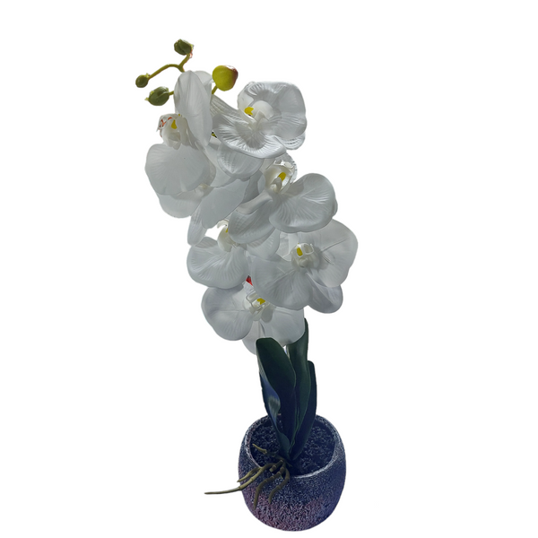 Orhidee Artificiala Alba in Ghiveci Ceramic
